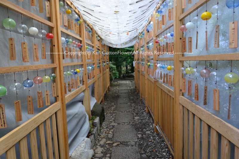 氷川神社