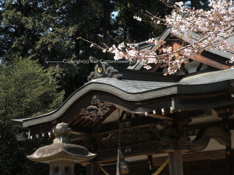 鶴ヶ島　高徳神社