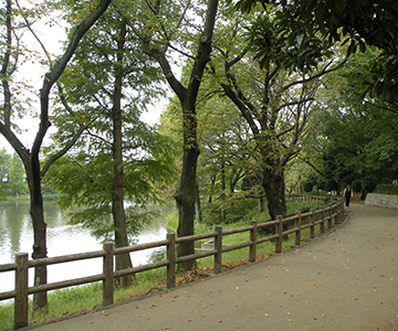 観光用鶴ヶ島御伊勢塚公園１