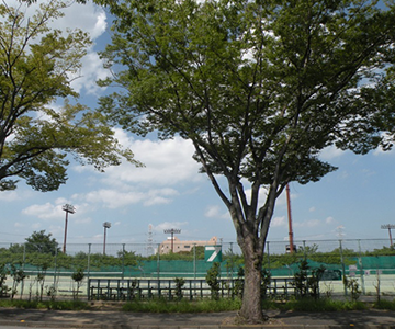 坂戸市民総合運動公園